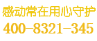 文星保险柜